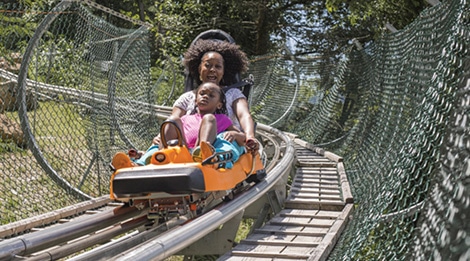 Smoky Mountain Alpine Coaster