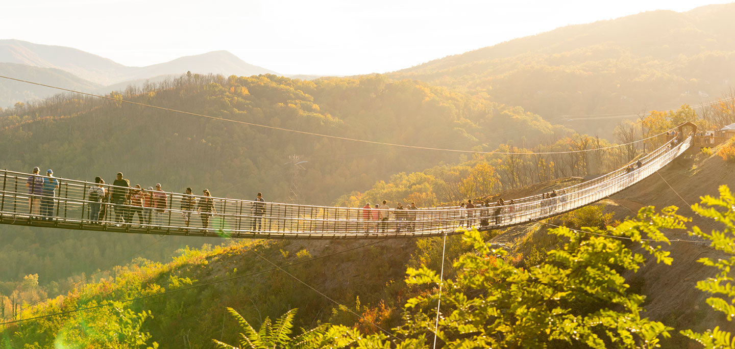 Gatlinburg SkyLift Park & SkyBridge